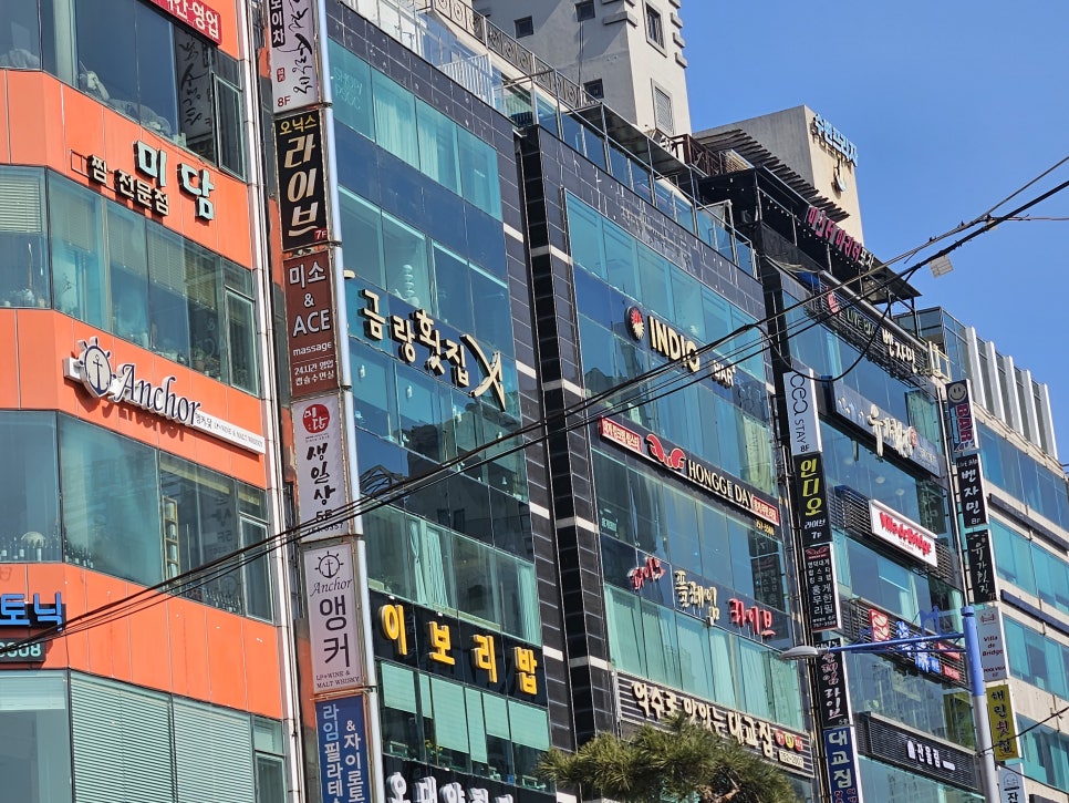 Sashimi Restaurant Busan – Geumrang Gwangalli (Premium Fresh Fish Course & Bridge Views)
