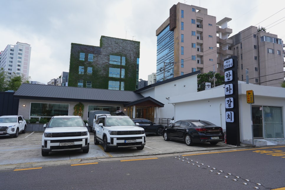 제주 공항 근처 맛집 가이드: 비행기 타기 전/후 꼭 들러야 할 갈치 전문점